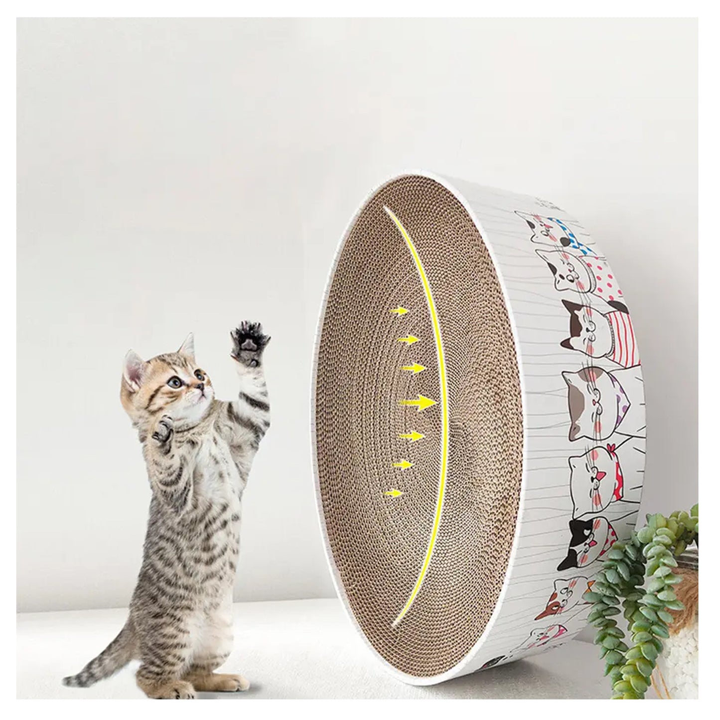 RASCADOR REDONDO PARA GATOS.